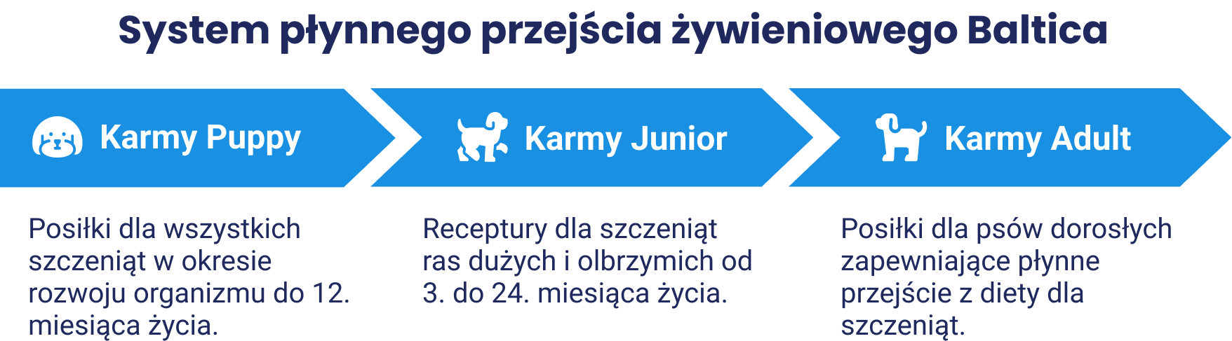 Tło promocyjne Baltica
